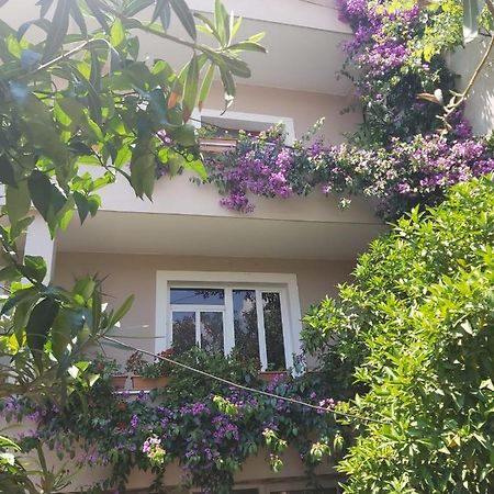 Flowers Guesthouse Tirana Exterior foto