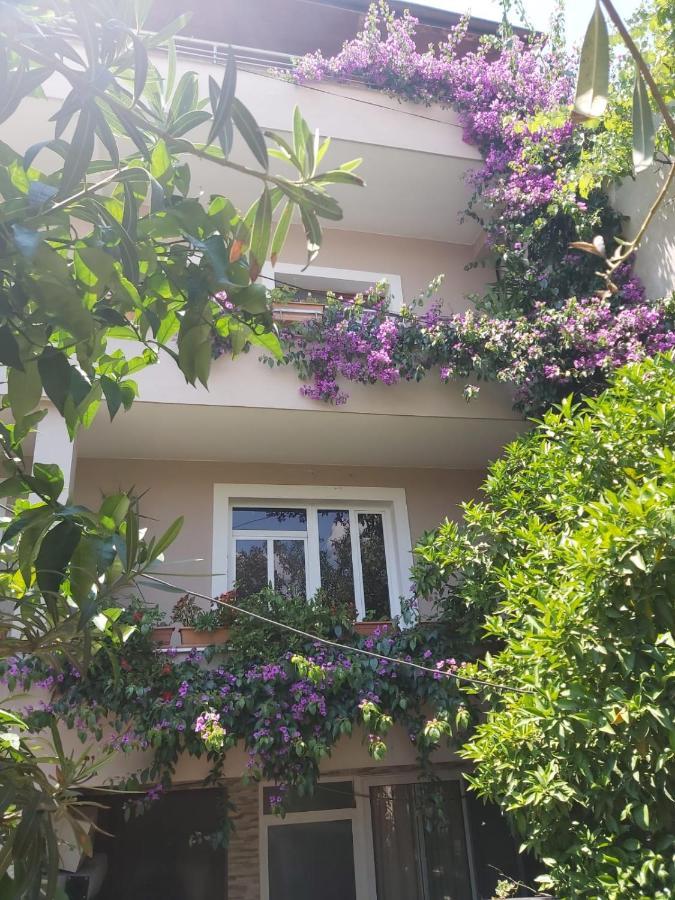 Flowers Guesthouse Tirana Exterior foto