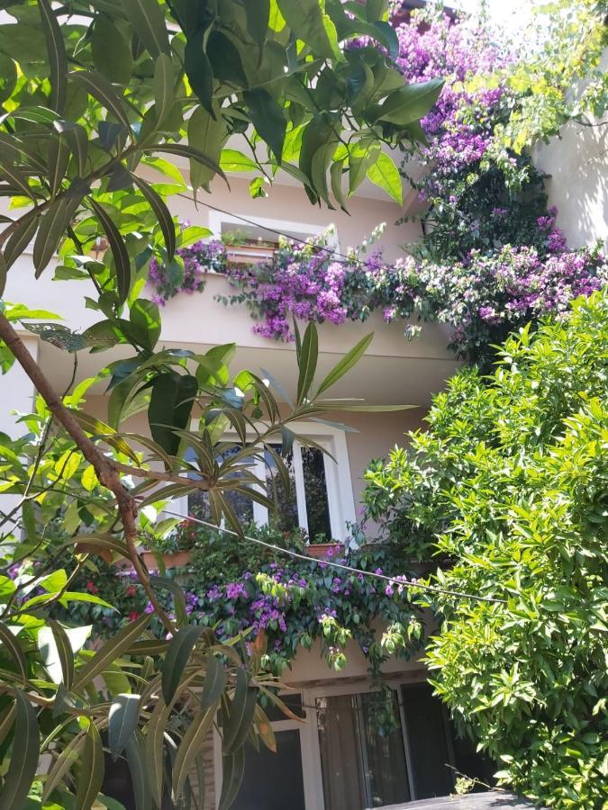 Flowers Guesthouse Tirana Exterior foto